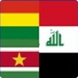 洲際附加賽2勝者